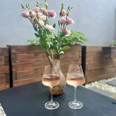 Opera Theatre With A Courtyard Apartament